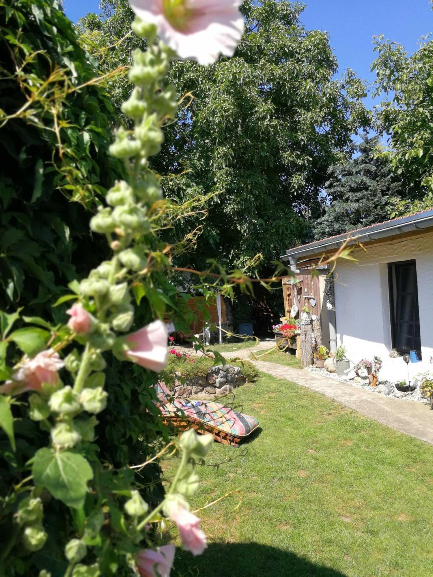 Bungalow Bei Warnemuende エルメンホルスト エクステリア 写真